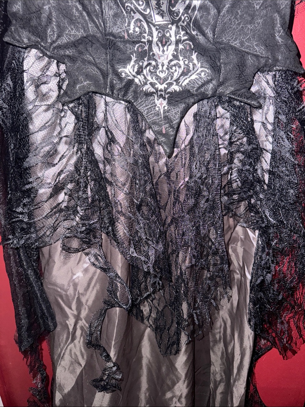 Dark Vampire Countess Costume Black and Silver Gothic Lace Evening Dress - Picture 3 of 5